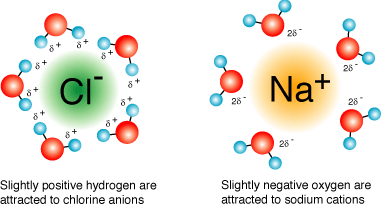 water3.gif